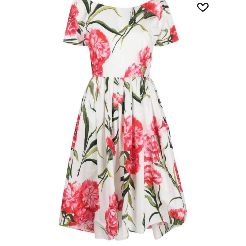 Dolce & Gabbana Floral Print Dress